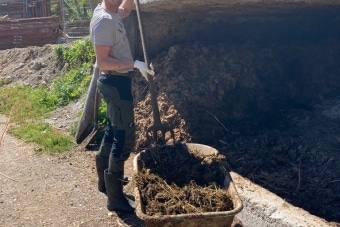 1_HoffmannKomar_Thial-18