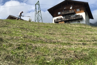 Berg-Karl-Ruth_Roach