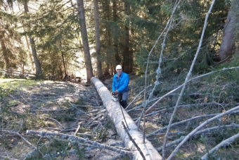 Ertlschweiger-Johann-Jr_Pöll-01