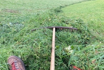 HoffmannKomar_Thial-6