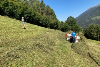 HoffmannKomar_Thial-8