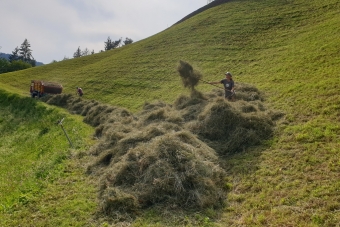 Schwarz-Claudio-Hollunder-Valerie_Löschen-11