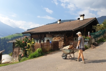 Schwarz-Claudio-Hollunder-Valerie_Löschen-7