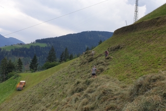 Schwarz-Claudio-Hollunder-Valerie_Löschen-8