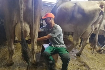 Stübner-Lucas_Egg-05