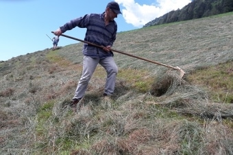 Sturm-Harald_Glamitz-2