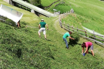 Vomiero-Adriano_Hochrain-02