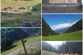 Arnrich-Irene_Schnitzer-3