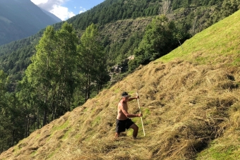 Heieis-Josef_Untertappein-1