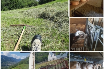 Schrietter-Renate_Unterrain