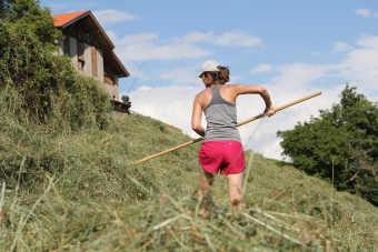 Wanitschek-Kerstin_Unterrain-14