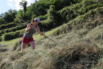 Wanitschek-Kerstin_Unterrain-5