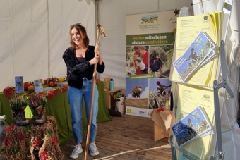 ED_Waltherplatz_111025-10