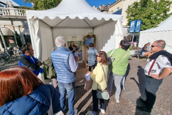 ED_Waltherplatz_111025-11