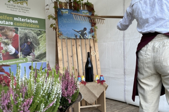 ED_Waltherplatz_111025-17