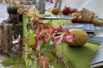 ED_Waltherplatz_111025-3