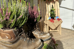 Festa di Ringraziamento Piazza Walther 11 ottobre 2025