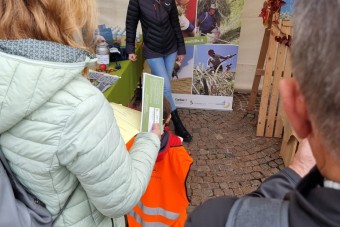 ED-Waltherplatz-2024-28