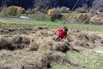 Gruppe-Adriano_L_2.11.24-1