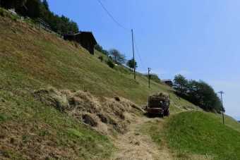 GA_L_210625-2