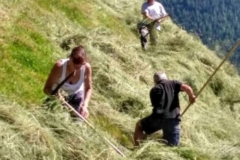 K1024_Gruppe-Edelweiß-2017-17