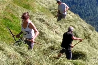 K1024_Gruppe-Edelweiß-2017-18