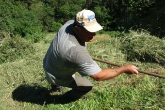 K1024_Gruppe-Edelweiß-2017-26