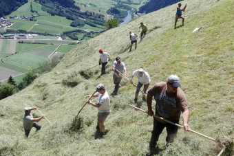 K1024_Gruppe-Edelweiß-2017-29