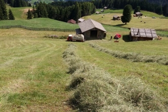 K1024_Gruppe-Edelweiß-2017-33