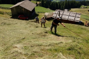 K1024_Gruppe-Edelweiß-2017-34