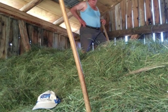 K1024_Gruppe-Edelweiß-2017-40