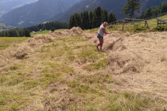 K1024_Gruppe-Edelweiß-2017-44