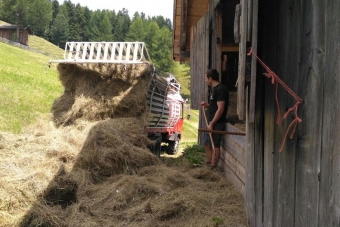 K1024_Gruppe-Edelweiß-2017-47