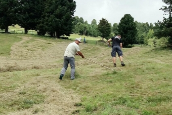 K1024_Gruppe-Edelweiß-2017-49