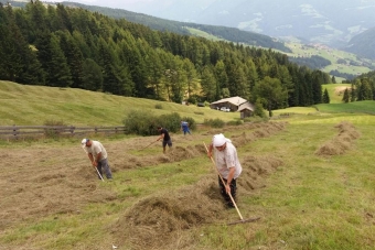 K1024_Gruppe-Edelweiß-2017-51