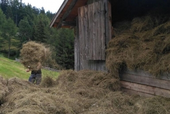 K1024_Gruppe-Edelweiß-2017-59