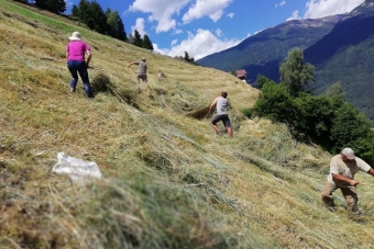 K1024_Gruppe-Edelweiß-2018-19