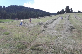 K1024_Gruppe-Edelweiß-2018-6