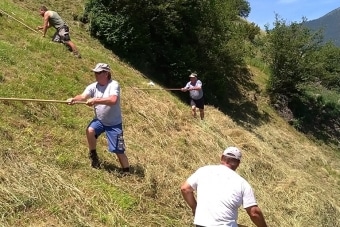 Gruppe-Edelweiß_Oberpurstein-25.6.19-5