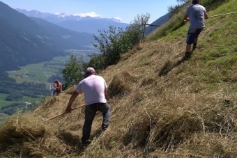 Gruppe-Edelweiß_Oberpurstein-25.6.19-7