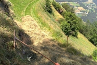 Gruppe-Edelweiß_Oberpurstein-25.6.19-8