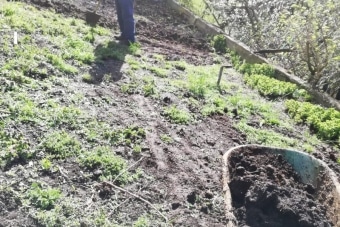 Weger-April-2019-4