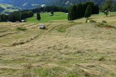 Gruppe Edelweiß 2025