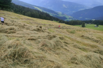 GE_W_23.7.26-3