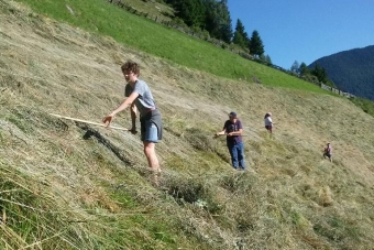 K1024_Gruppe-Edelweiß-2016-10