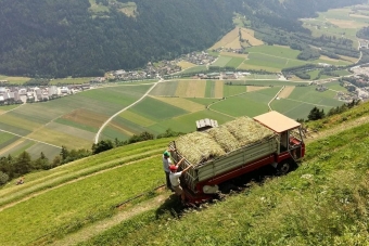 K1024_Gruppe-Edelweiß-2016-37