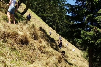 K1024_Gruppe-Edelweiß-2016-7