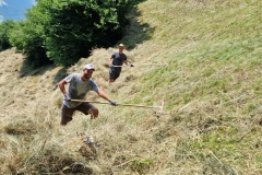 Gruppeneinsätze Südtiroler Bauernbund