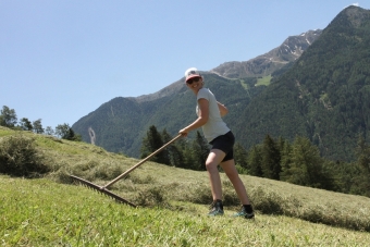 Teamtag-SBO©-VFA-21