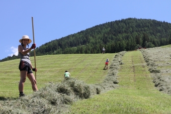 Teamtag-SBO©-VFA-35